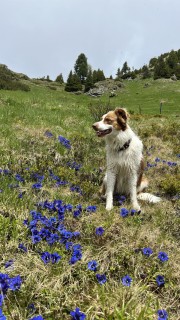 IMG_3984.jpeg