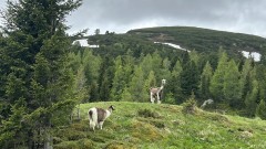 IMG_3994.jpeg