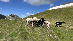 IMG_4080.jpeg