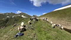 IMG_4090.jpeg