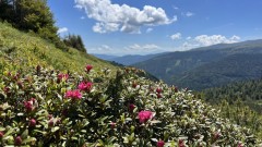 IMG_4093.jpeg