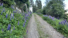 IMG_4183.jpeg