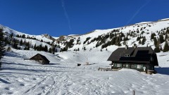 IMG_2104_1.jpeg