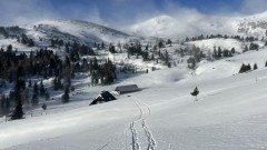 IMG_2140.jpeg