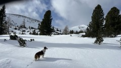 IMG_2153_1.jpeg