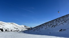 IMG_2230.jpeg