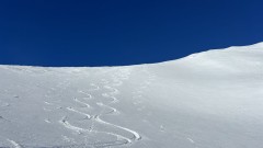 IMG_2263.jpeg